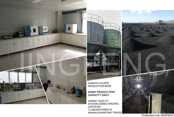 Company Overview